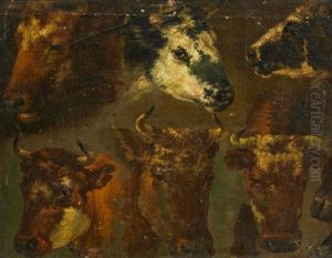 Studies Of Cow"s Heads by Nicolaes Berchem