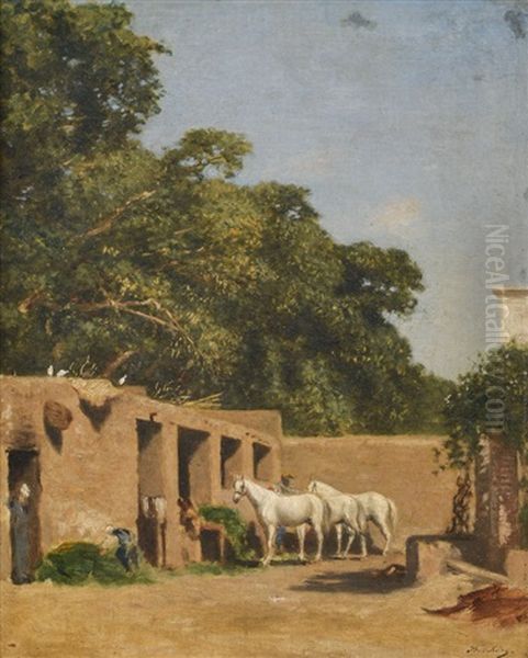 Haras A Alger - view 1