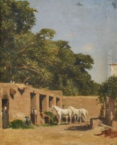 Haras A Alger