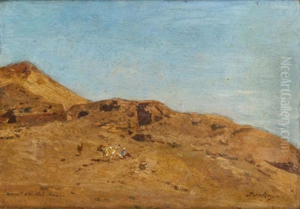 Desert Du Sinai, Tez, Alnat - view 1