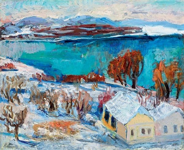 Winter In Zebegeny - view 1