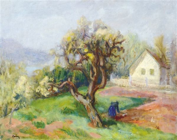 In The Garden - view 1