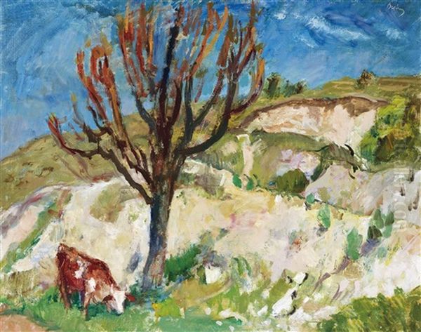 Hilly Landscape - view 1