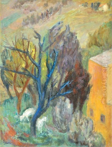In The Garden Of A Villa At Varosmajor - view 1