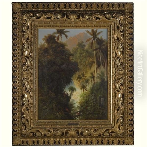 A Rainforest Interior - view 1