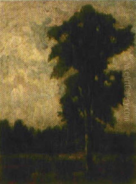 Birke Am Waldrand - view 1