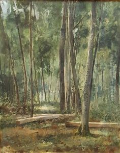 Forest Landscape by Hanna Berg