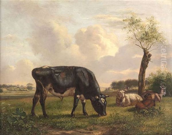 Sommerlandschaft Mit Weidevieh - view 1