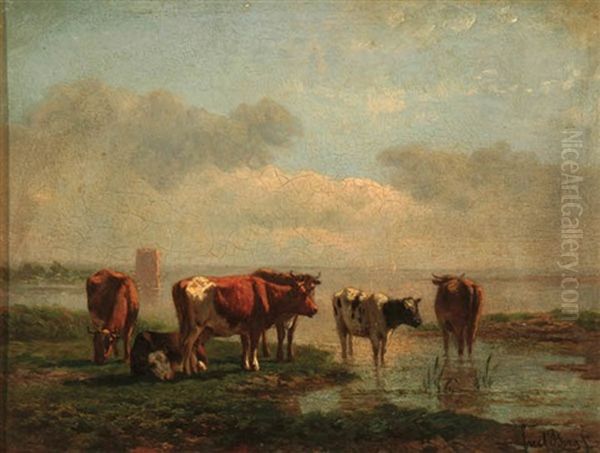 Grazing Cows - view 1