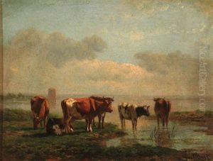 Grazing Cows