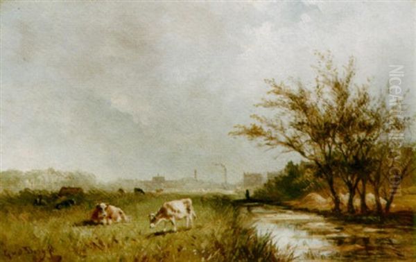 Cows Grazing - view 1