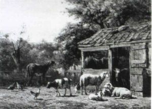 Cattle And Poultry In A Yard