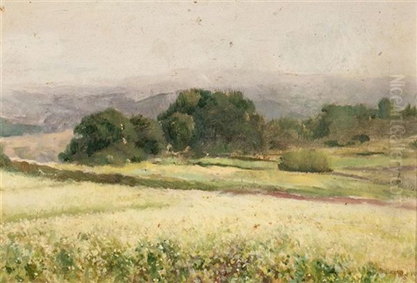 Paisajes (pair) - view 1