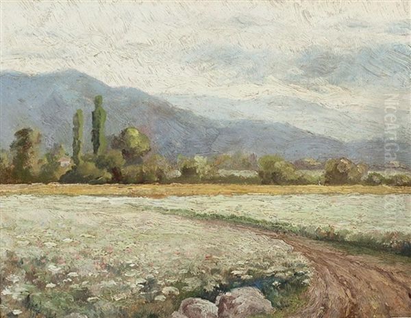 Paisaje - view 1