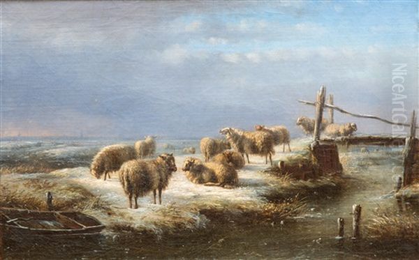Sheep In A Frozen Polder Landscape - view 1