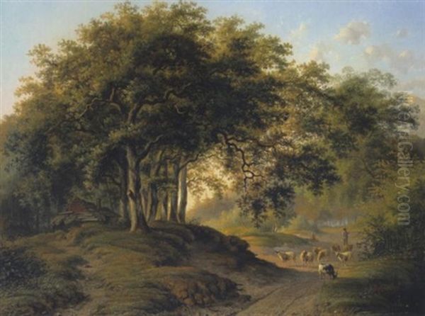 Schafer In Waldlandschaft - view 1