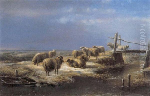 Schapen In Een Landschap - view 1
