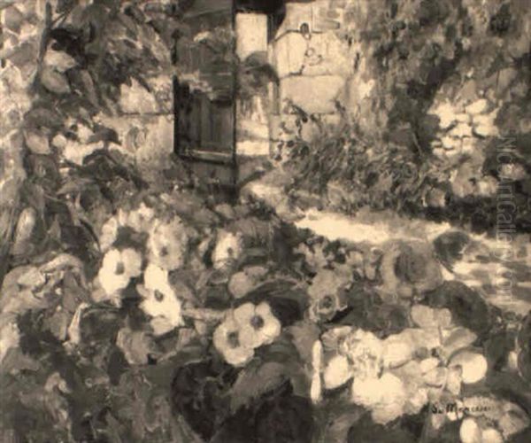 A Garden - view 1