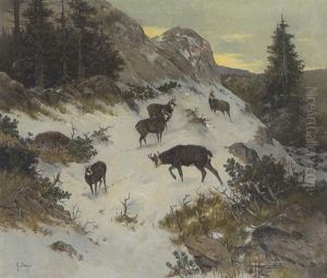 Gemsen Im Winterlichen Hochgebirge