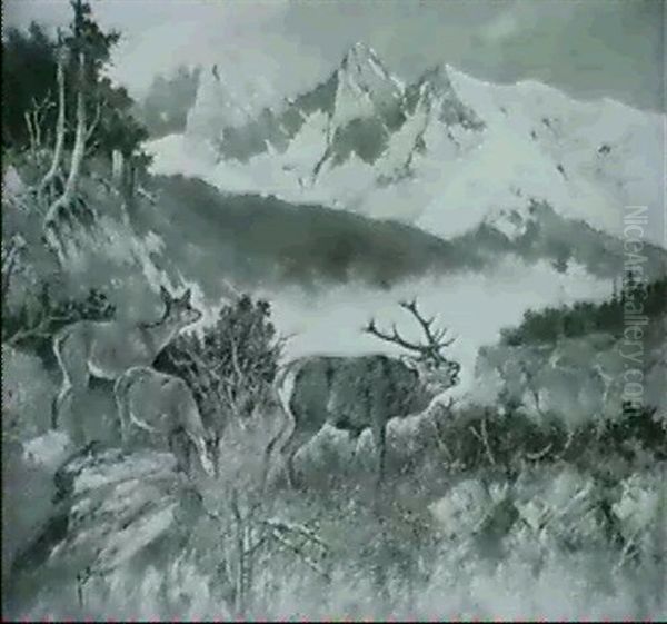 Rohrender Hirsch Mit Rudel Im Gebirgstal - view 1