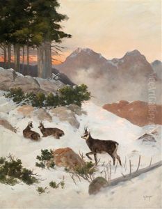 Chamois In Winter by Georg Berger