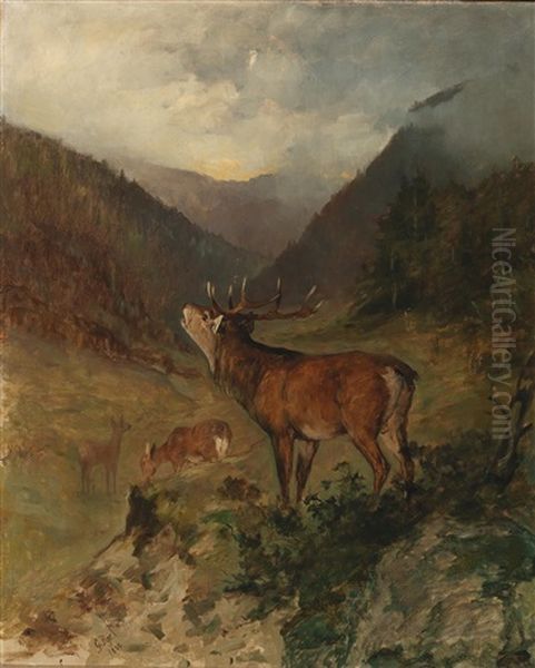 Red Deer In The Mountains - view 1