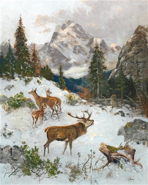 Red Deer In Winter - view 1