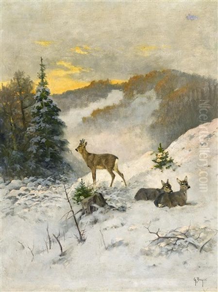 Rehe Im Winter - view 1