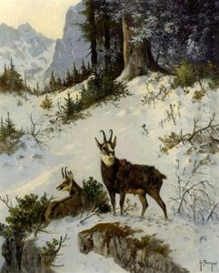 Gemsenpaar In Verschneiter Gebirgslandschaft by Georg Berger