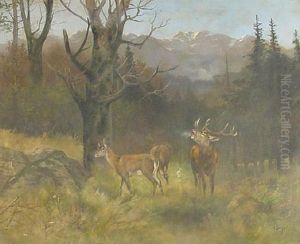 Rohrender Hirsch Mit Mutterwild Auf Einer Waldlichtung by Georg Berger