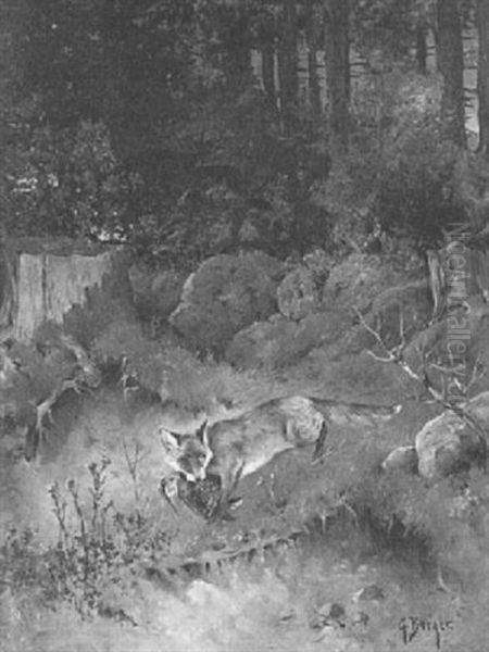 Fuchs Mit Schnepfe - view 1