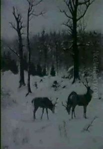 Abendliche Winterstimmung Mit Rotwild by Georg Berger