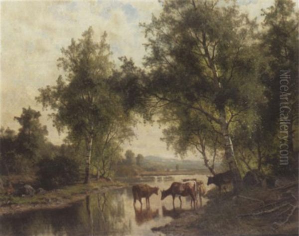 Cows Watering - view 1