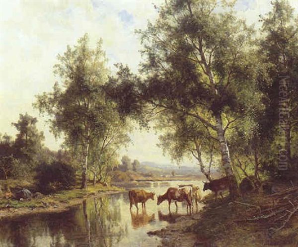 Koer Ved En Svensk Skovso - view 1