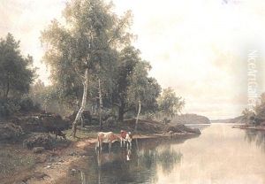 Insjovik Med Kor Insjovik Med Kor