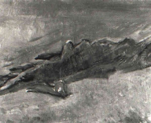 Klippor - view 1