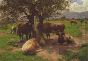 Sommerliche Weidelandschaft Mit Rastenden Kuhen Unter Baumen