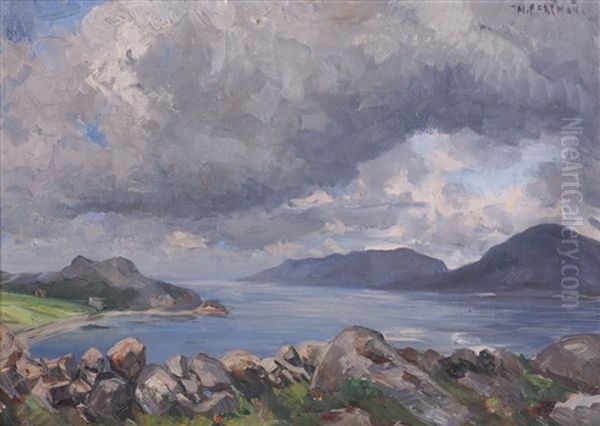 Kystlandskap - view 1