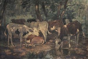 Kuhherde An Einer Tranke Im Wald