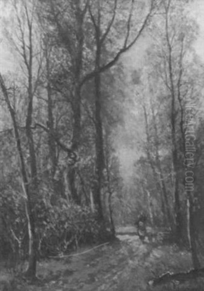 Reisigsammlerin Auf Waldweg - view 1