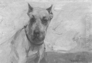 Die Dogge Casar