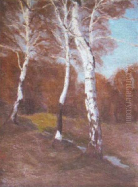 Baumlandschaft - view 1