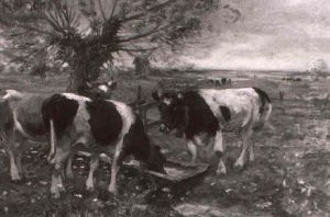 Auf Der Weide Auf Der Weide