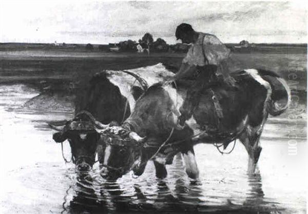 Working Cattle Watering In A Meadow - view 1