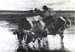 Working Cattle Watering In A Meadow