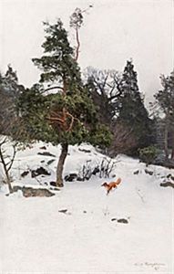 Rav I Vinterlandskap by Alfred Mauritz Bergstroem