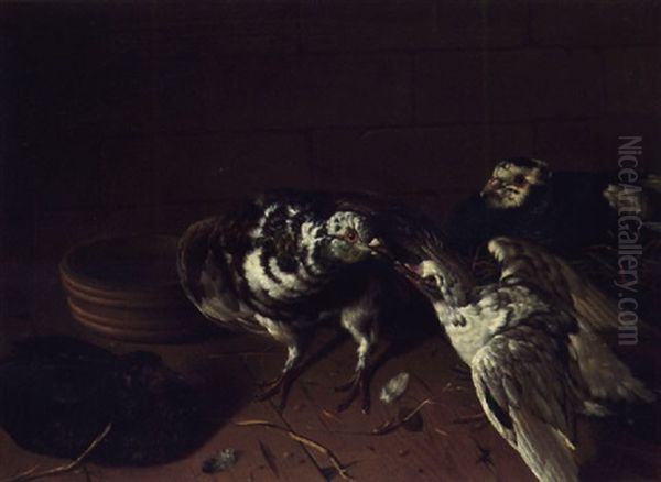 A Pigeon Feeding Her Young In A Courtyard - view 1