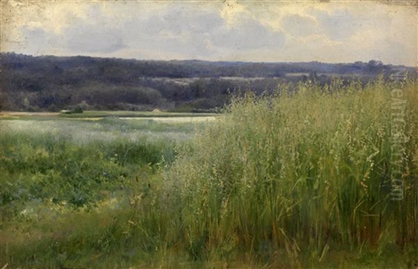 Meadow - view 1