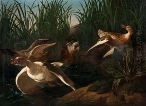 La Chasse Aux Canards by Nicasius Bernaerts