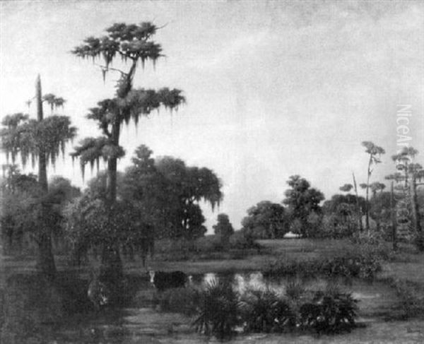 Louisiana Landscape With Cabin And Cows (near Mandeville?) - view 1